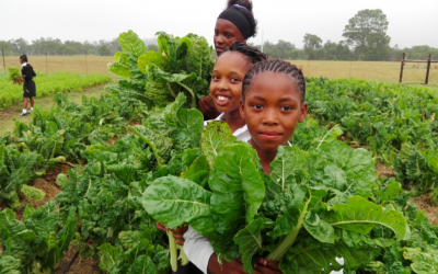 Innovative Urban Food Project Turning Dump Sites into Gardens of Hope