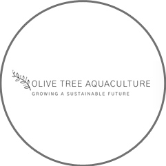 olive tree aquaculture